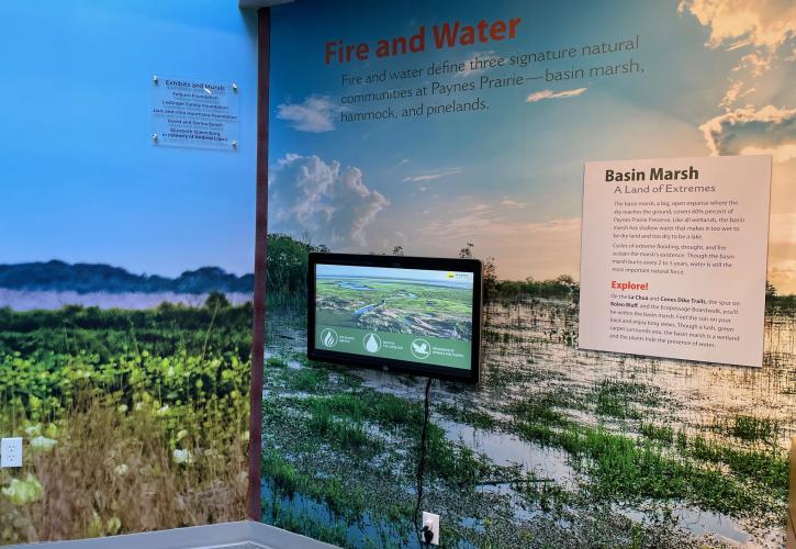 Exhibit about the effects of fire and water on the basin marsh.