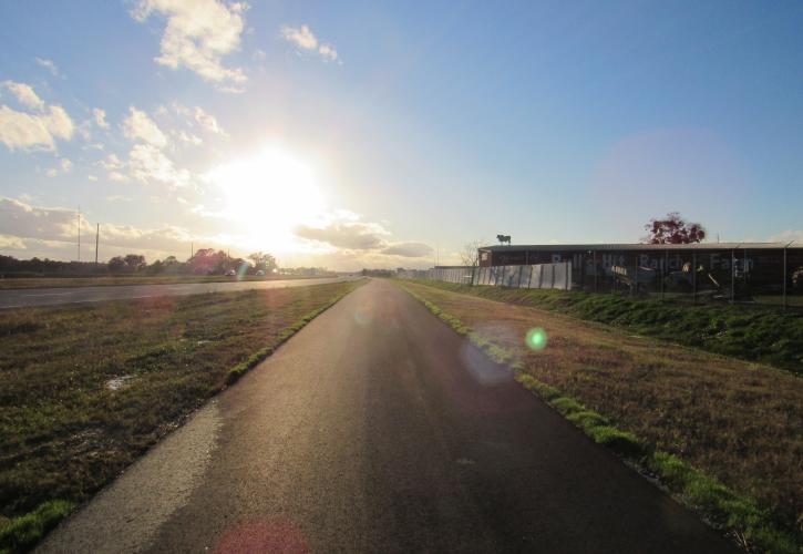 Sun shines over the trail. 