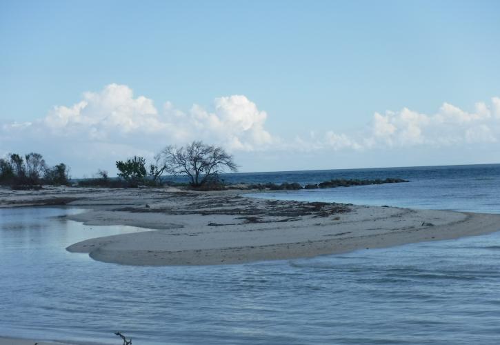 Sandspur Island