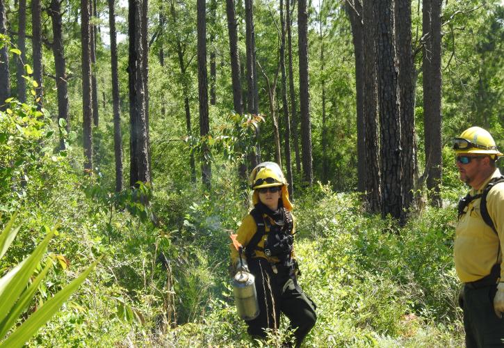 Aimee Wolters holds a drip torch while talking with burn boss, Aaron Miller. Note the uniforms and the safety gear. Yellow Nomex shirts, cotton trousers, leather boots, bright yellow helmets, face shields, goggles, radios for communications, fire shelters and whistles are all standard issue equipment for those working on prescribed fire.