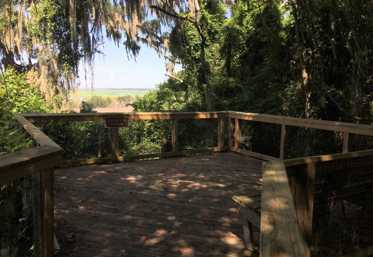 Alachua Lake Overlook Gainesville Hawthrone Trail