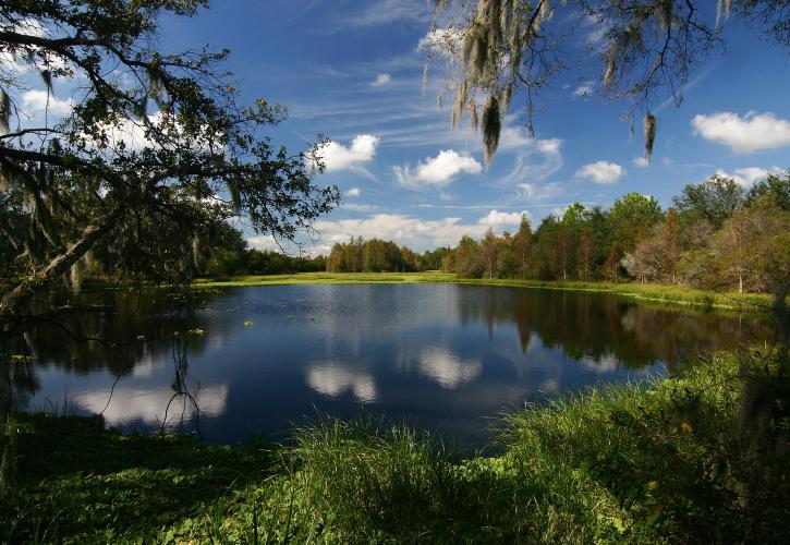 A view of Alafia Lake.