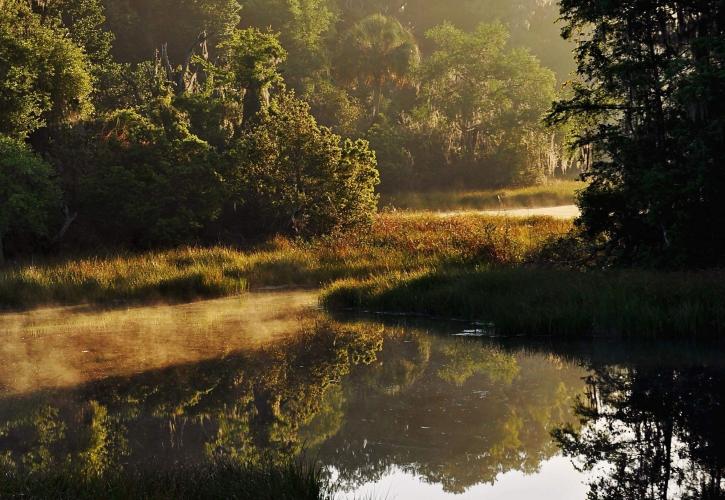 Tranquil lake.