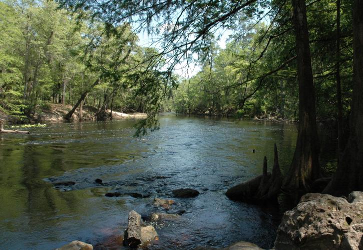 O'Leno River