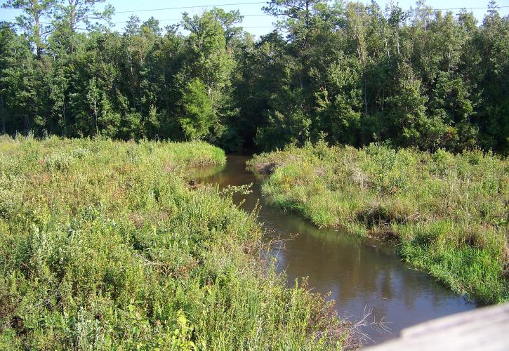 Clear Creek at Blackwater Heritage State Trail