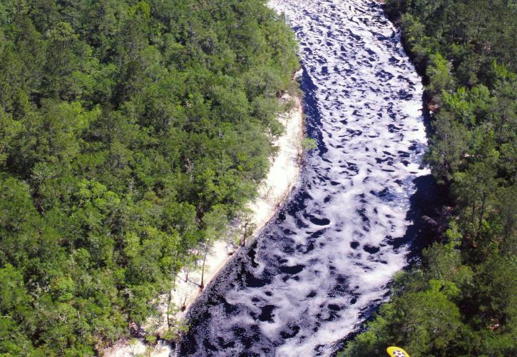 Aerial view of Shoals