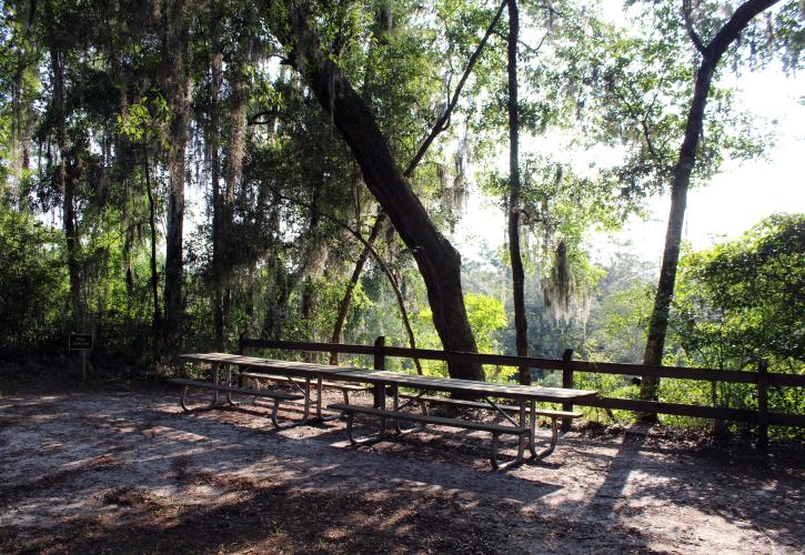 Big Shoals Picnic Area