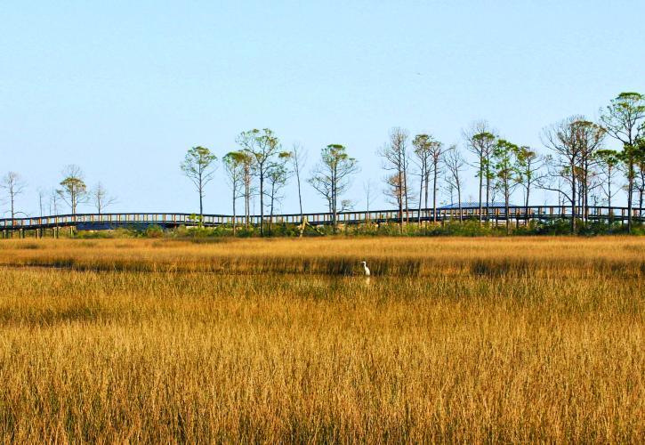 Long view of boardwalk