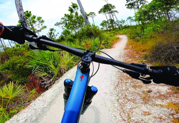 View of the trail over the handlebars at Jonathan Dickinson State Park.