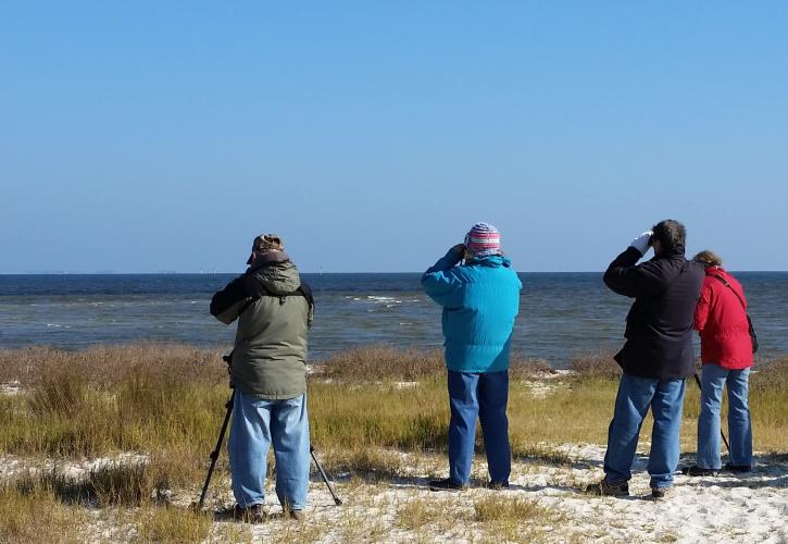 Bird Walk