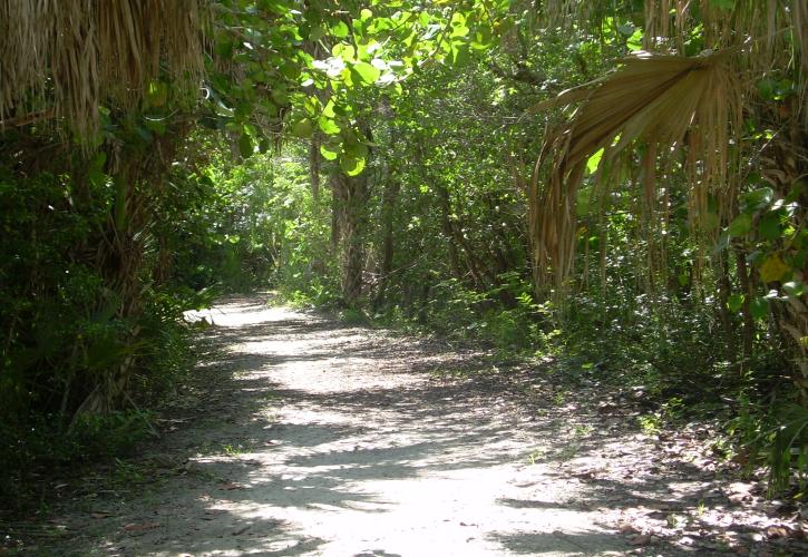 Back Island Trail