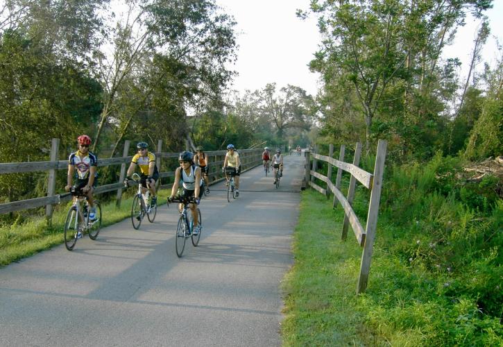 A view of a group biking down the trail