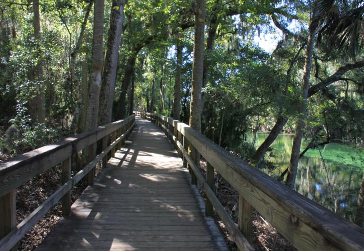 Boardwalk around Spring