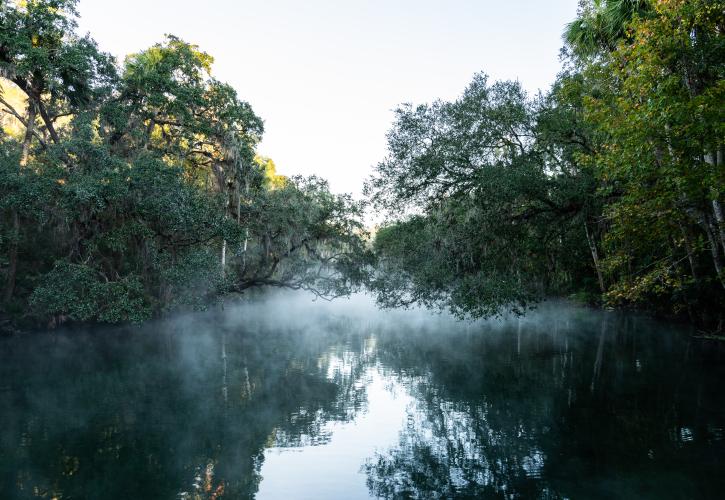 Foggy morning at Blue Spring