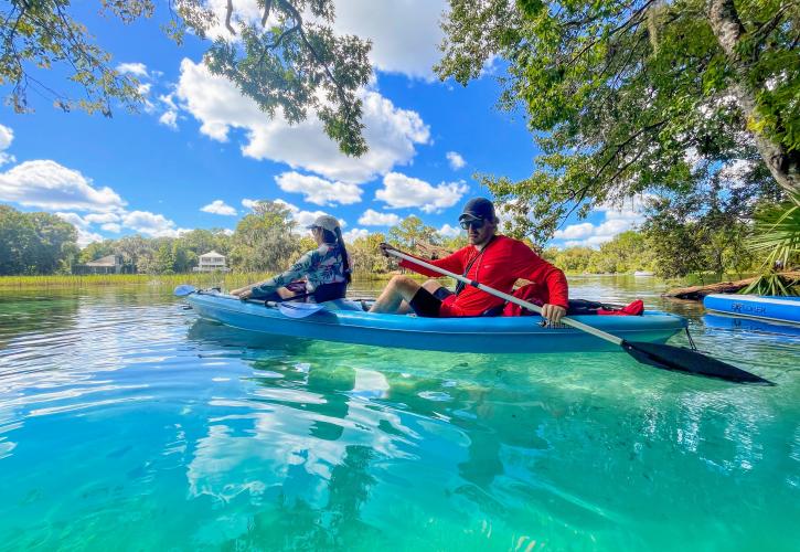 Two kayakers paddle through electric blue water under overhanging branches.