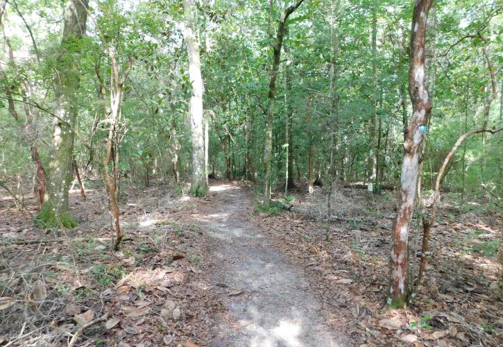 Lake Talquin State Park Florida State Parks