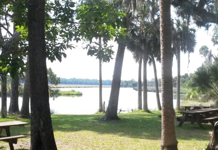Bulow Creek View