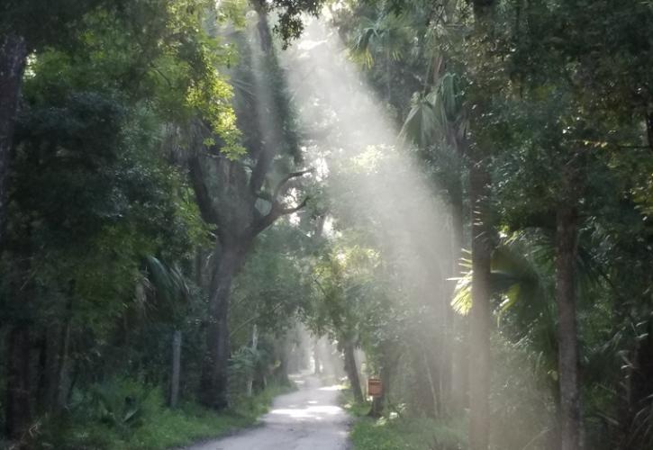 Bulow Plantation Road