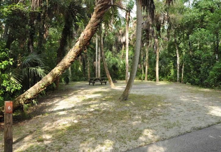 Collier-Seminole State Park