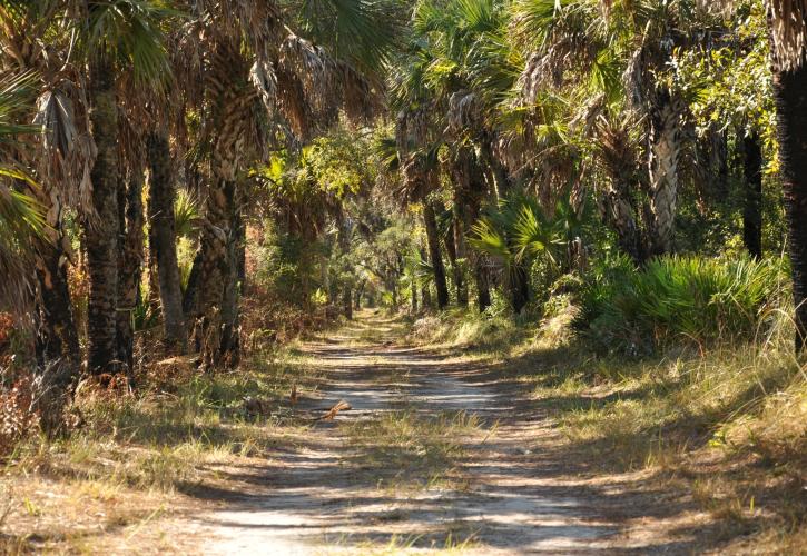 Collier-Seminole State Park