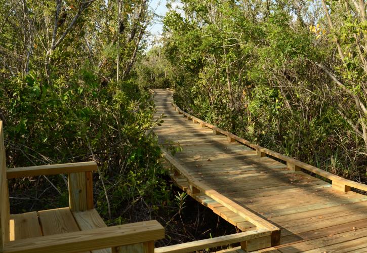 Collier-Seminole State Park