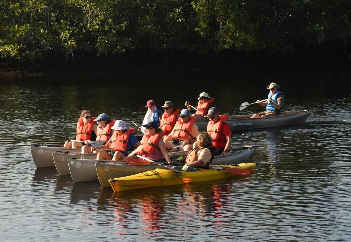 Group of people paddling canoes on a river.