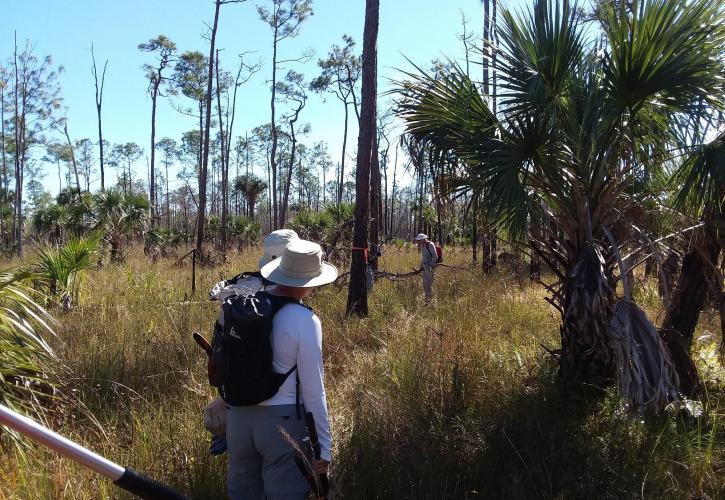 people hiking a grassy trail