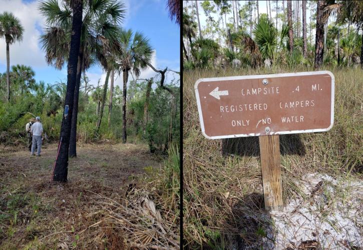 primitive campsite and directional sign