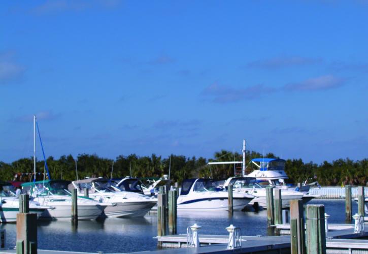 Marina at Caladesi Island