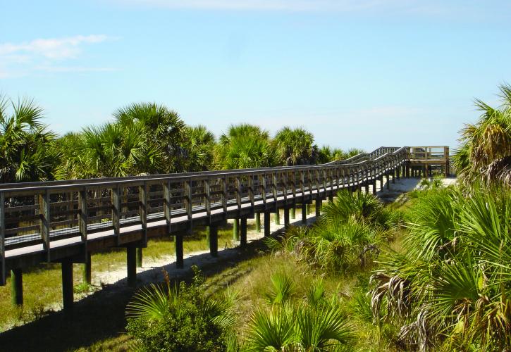 Boardwalk to Beach