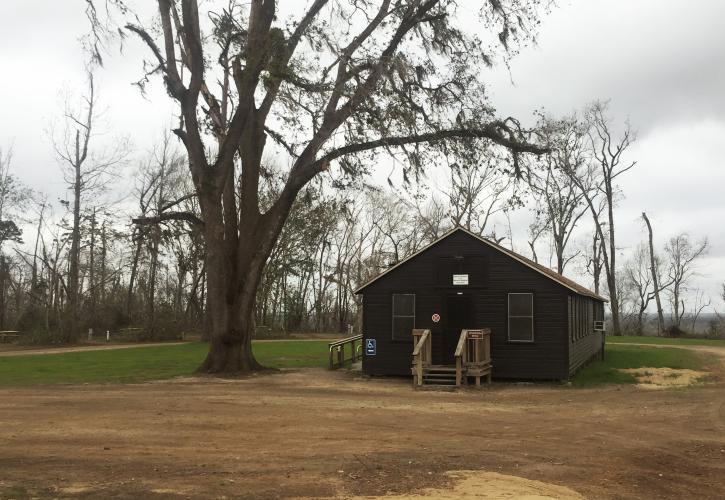 A view of the area around a cabin, post hurricane cleanup efforts.