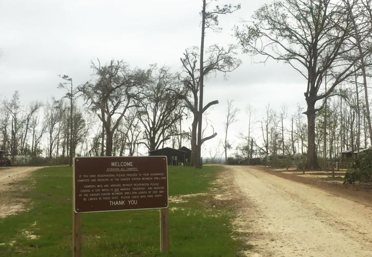 A current view of the entranceway to the campground area post hurricane cleanup efforts.