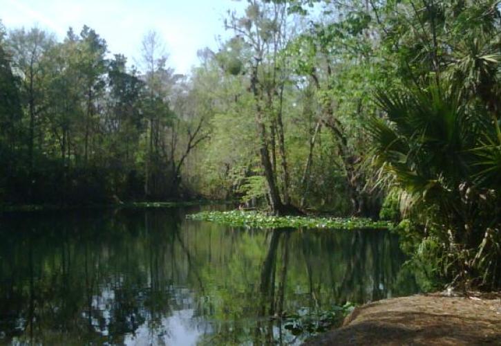 Cross Florida Greenway Campsite