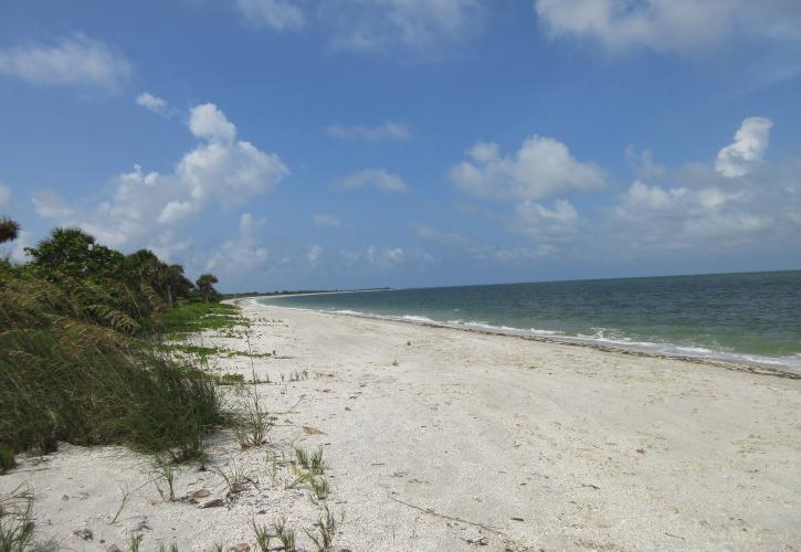 Tide Chart Cayo Costa Florida