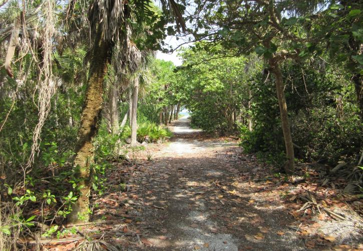 Shaded trail at Cayo Costa