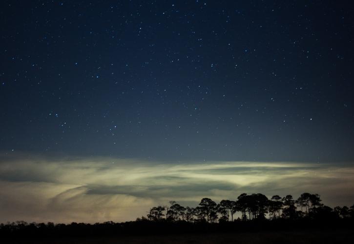 Star-filled dark sky over the salt marsh and pine trees at Cedar Key