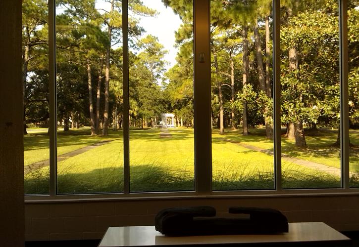 View from inside museum of lush green landscape with monument in the distance. 