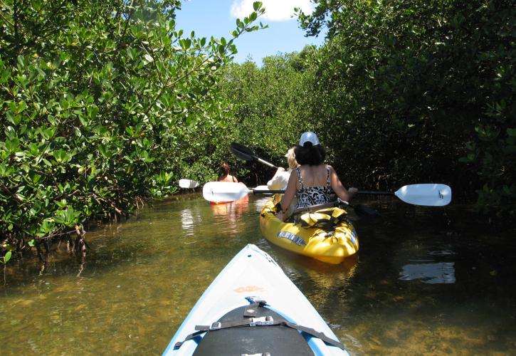 Paddlers in kayaks navigating the water trail