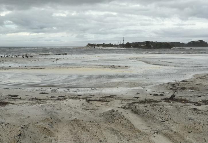 A view of the eroded beach shore.