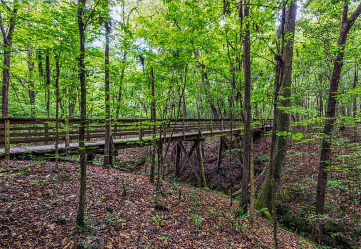 Devil S Millhopper Geological State Park Florida State Parks