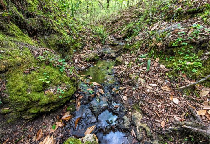 A view of the Deer Run Creek flowing into the sinkhole.