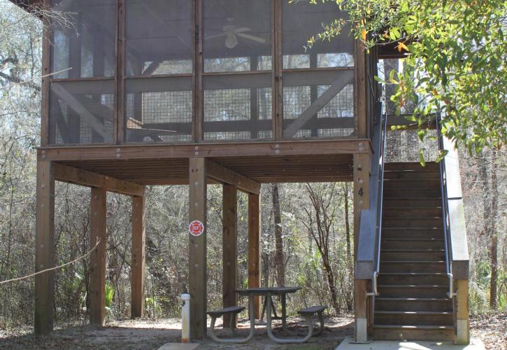 Suwannee River Wilderness Platform