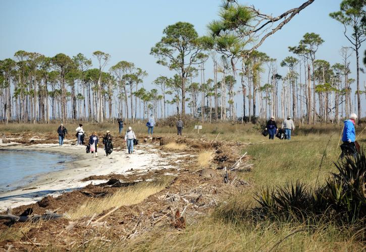 Volunteers comb the shoreline removing debris after Hurricane Michael. 