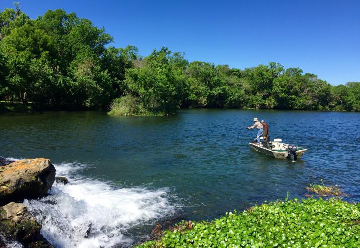 De Leon Springs