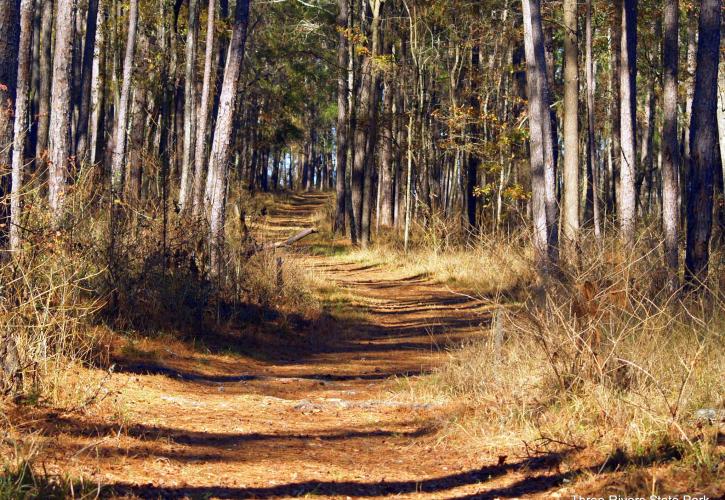 Three Rivers Trail