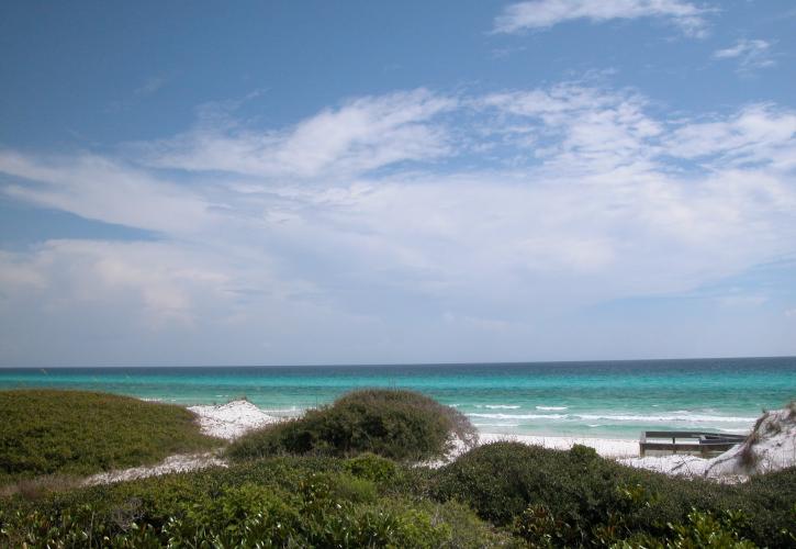 Vegetated dunes meet white sandy beach and emerald green waters. 