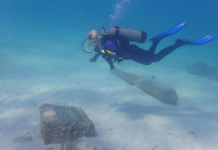 diver swims over the plaque at the san pedro