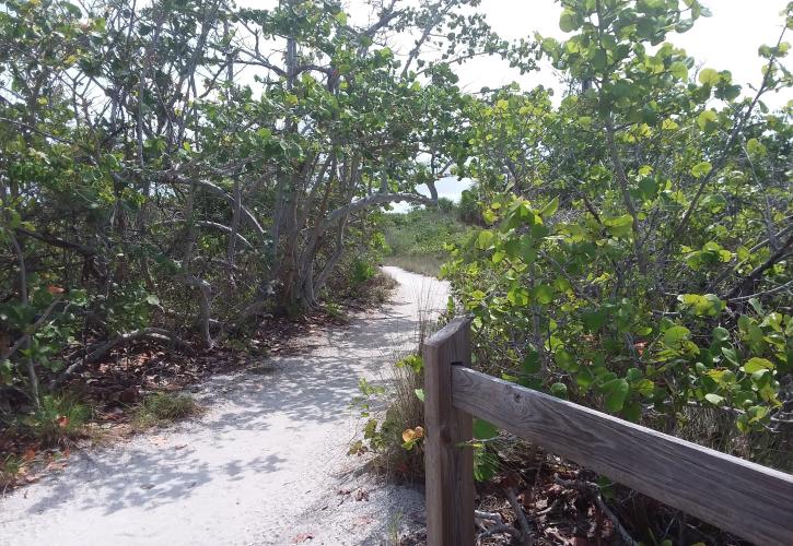 Nature Trail at Don Pedro Island