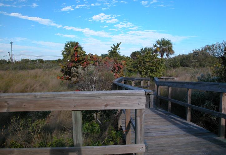 A view of the boardwalk