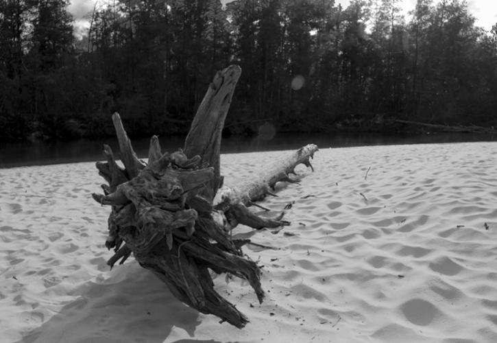 Black and white image of driftwood log on white sandy beach.
